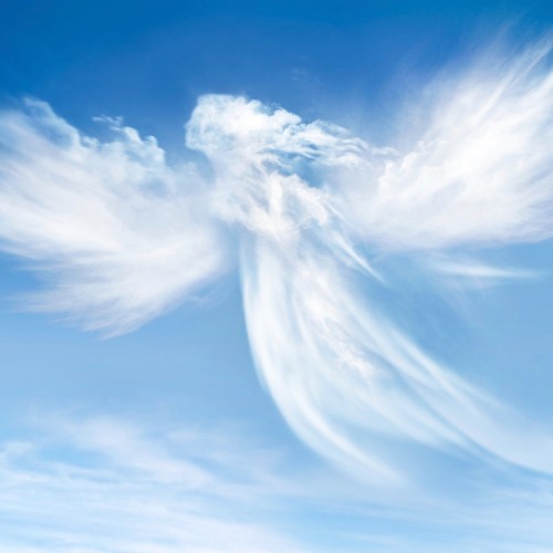 « Celestial Voices » for Choirs