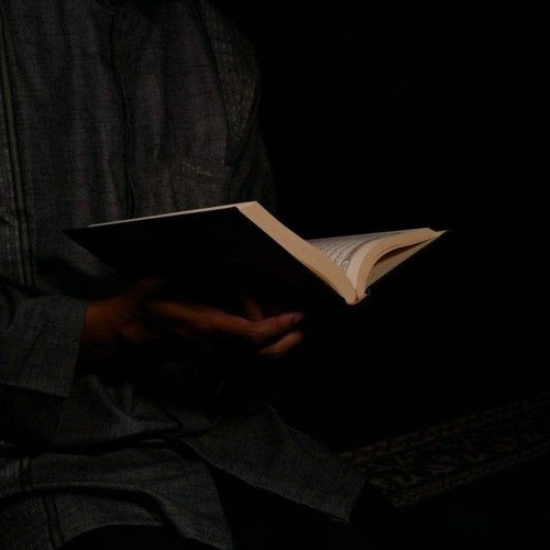 القارئ شريف مصطفى.