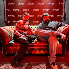 WHAT.THE.EL. guest shows - Bloop