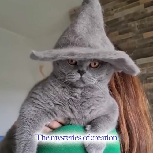 TONYSTARR - The mysteries of creation.