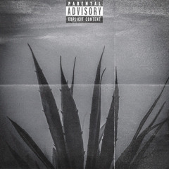 SAFARI  (prod by Yungchil)