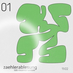 01 zaehlerablesung b2b rosanna randale
