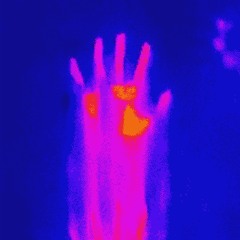 HOT PEOPLE IN MY HOUSE