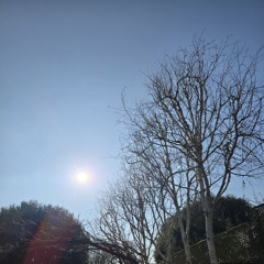 ☀️26th March 2025