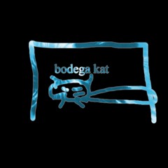 bodega kat - back to va (mix)
