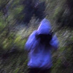 Scentless