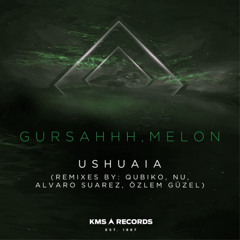 Gursahhh , JR.Melon - Ushuaia (NU Remix)