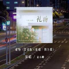 袁小葳 - 礼物 (深情版)(原唱：刘力扬)「你送的礼物会不会太特别，毫不避讳那不安的传言」(4k Video)【動態歌詞/pīn yīn gē cí】#袁小葳 #礼物 #刘力扬 #動態歌詞