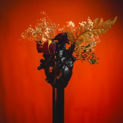 Trouble In Paradise Demo May 2024