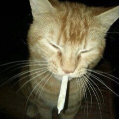 underground shii🧌🚨🕋🐦‍🔥🌚