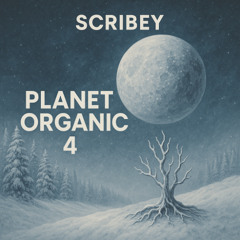Planet Organic 4