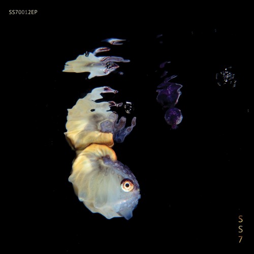 Rawdecks - Peephole [SS7.012EP] | FREE DL