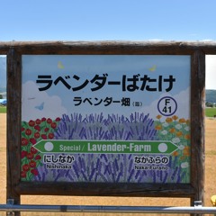 ふらの-20180728