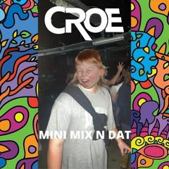 MINI MIX N DAT