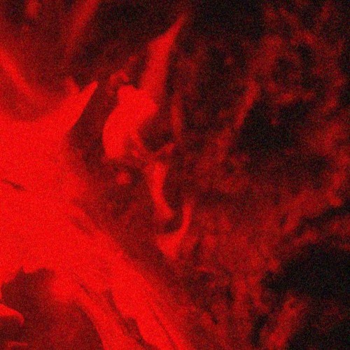 Back To The Essentials || GrooveMix