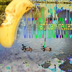 Artificially Induced Banana (with Big K)