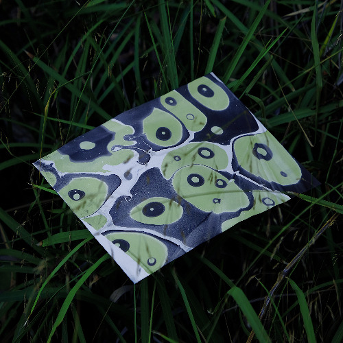 Tall Grass