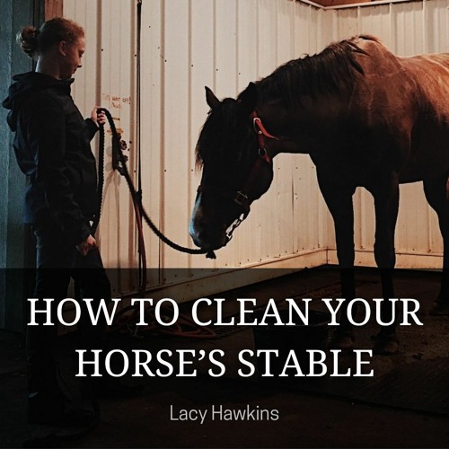 Stream episode How to Clean Your Horse’s Stable by Lacy Hawkins podcast