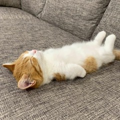 me when its naptime (im having great dreams)