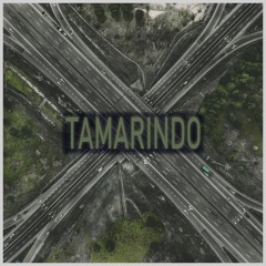 DJ Saizer & Xhulotek & Rix 303 - Tamarindo