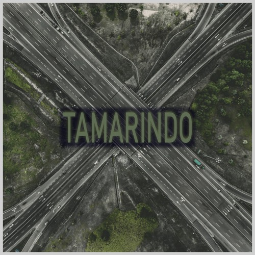 DJ Saizer & Xhulotek & Rix 303 - Tamarindo