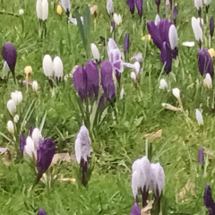 spring is coming.