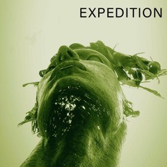 Expedition 035 by Safa (Old to present)