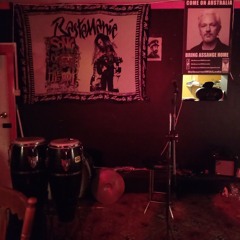 7 Ladybird Cover Mstrprctc