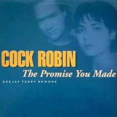 Cock Robin - The Promise You Made (By Deejay Terry Rework)