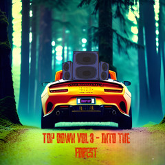 Top Down Vol 3 - Into the Forest