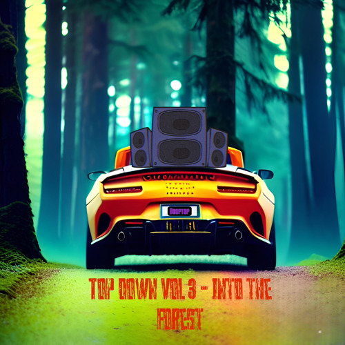 Top Down Vol 3 - Into the Forest