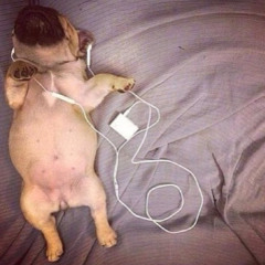 TOO LOUD