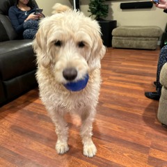 DND Thug (godly.jenius)