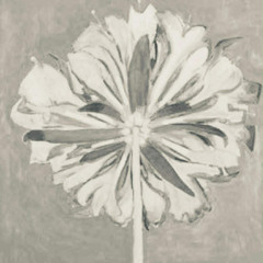 Dominic Hernández - Secretariado