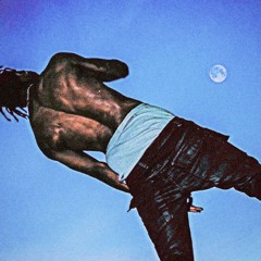 MoCity Flexologist- Travis Scott