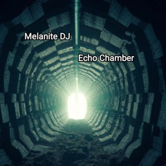 Echo chamber