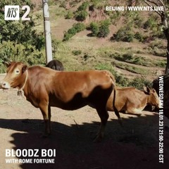 bloodz boi 血男孩 w/ rome fortune - nts radio - 18.01.23