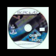 Big Pic A D - Freestyle Big Tiger Big Pic AD Green - Crumbs 2 Bricks - Track 13