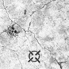 lightsleeper - 187 the 12 w a 47 ///