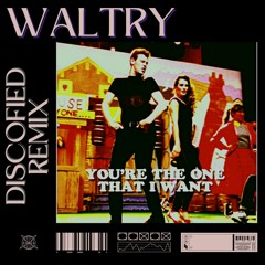 You're The One That I Want (Waltry Discofied Remix)