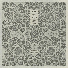 Deep a & Biri - Har Zion 110 (Aril Brikha Remix)