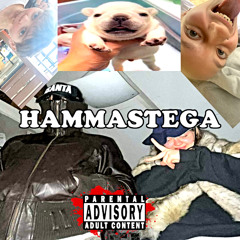 HAMMASTEGA (FT. COOLKANA13, Puuksulask, GENITAAL GEENIUS)