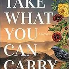 Download pdf Take What You Can Carry: A Novel by Gian Sardar
