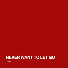 001 - NEVER WANT TO LET GO
