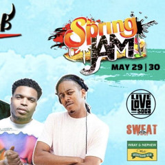 Spring Jam Live Promo Mix CD - Prince Vern x Triple M