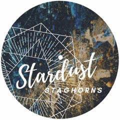 HM PREMIERE | Staghorns - Stardust