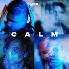5 Seconds of Summer - Best Years (Acoustic)