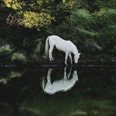 LIL MOLLY (prod by @milli)