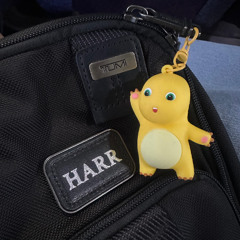 HIDUP CUMA SEKALI , YAKALI GAK TINGGI #HARR