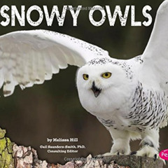 [Get] EBOOK ✓ Snowy Owls by  Melissa Ann Hill &  Gail Saunders-Smith PDF EBOOK EPUB K